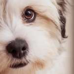 Ersteller:in Marina Profilbild