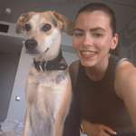 Ersteller:in Nicole Profilbild