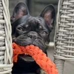 Ersteller:in Lena Profilbild