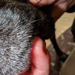 Was ist das?-Beitrag-Bild