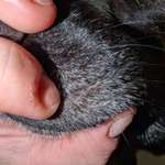 Was ist das?-Beitrag-Bild