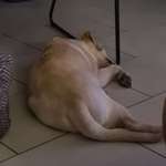 Ersteller:in Yvonne Profilbild