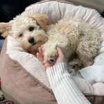 Ersteller:in Katharina Profilbild