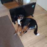 Ersteller:in Melanie Profilbild