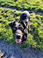 Hilfe,wir brauchen nen Ball😅-Beitrag-Bild