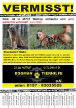 Suchmeldung-Nikki-Bild