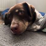 Ersteller:in Katja Profilbild