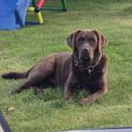 Ersteller:in Manuela Profilbild