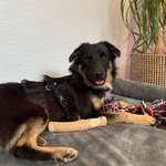 Ersteller:in Celine Profilbild