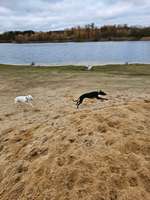 Hundeauslaufgebiet-Freizeitpark Kaltenkirchen-Bild