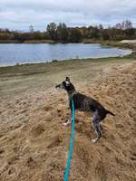 Hundeauslaufgebiet-Freizeitpark Kaltenkirchen-Bild