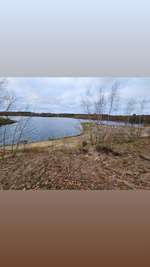 Hundeauslaufgebiet-Freizeitpark Kaltenkirchen-Bild