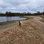 Hundeauslaufgebiet-Freizeitpark Kaltenkirchen-Bild