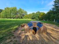 Hundeauslaufgebiet-Flintbeker Pfoten-Bild