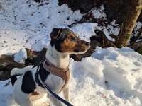 Schnee Foto-Beitrag-Bild