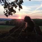 Ersteller:in Kai Profilbild