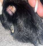 Hotspot?-Beitrag-Bild