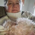 Ersteller:in Ines Profilbild