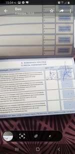 Hund aus Bulgarien ?-Beitrag-Bild