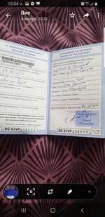 Hund aus Bulgarien ?-Beitrag-Bild