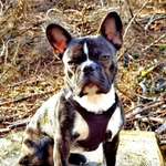 Ersteller:in Melanie Profilbild