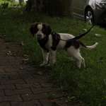 Ersteller:in Jasmin Profilbild