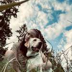 Ersteller:in Annchristin Profilbild