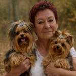 Ersteller:in Waltraut Profilbild