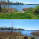 Hundeauslaufgebiet-Hufeisensee-Bild