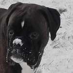 Ersteller:in Rosmarie Profilbild