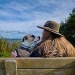 Ersteller:in Pan Profilbild