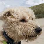 Ersteller:in Silvia Profilbild