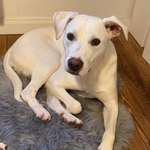 Ersteller:in Deniese Profilbild