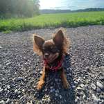 Ersteller:in Michelle Profilbild