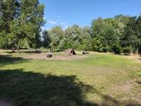 Hundeauslaufgebiet-Hundeplatz Babelsberg-Bild