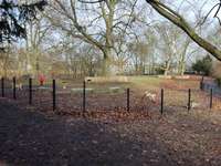 Hundeauslaufgebiet-Lichterfelde Barnackufer-Bild