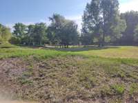 Hundeauslaufgebiet-Hundeplatz Babelsberg-Bild