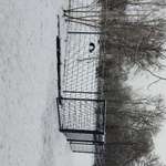 Hundeauslaufgebiet-Hundeplatz Babelsberg-Bild