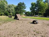 Hundeauslaufgebiet-Hundeplatz Babelsberg-Bild