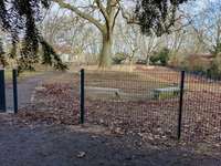 Hundeauslaufgebiet-Lichterfelde Barnackufer-Bild