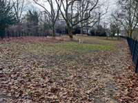 Hundeauslaufgebiet-Lichterfelde Barnackufer-Bild