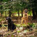 Ersteller:in Lara Profilbild