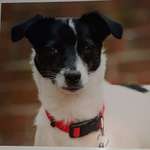 Ersteller:in Tomek Profilbild