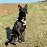 Ersteller:in Mario Profilbild