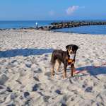 Ersteller:in Melanie Profilbild