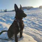 Ersteller:in Filip Profilbild