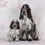 Ersteller:in Birgit Profilbild