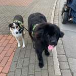 Ersteller:in Kiki Profilbild