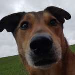 Ersteller:in Nadine Profilbild