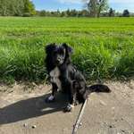 Ersteller:in Laura Profilbild